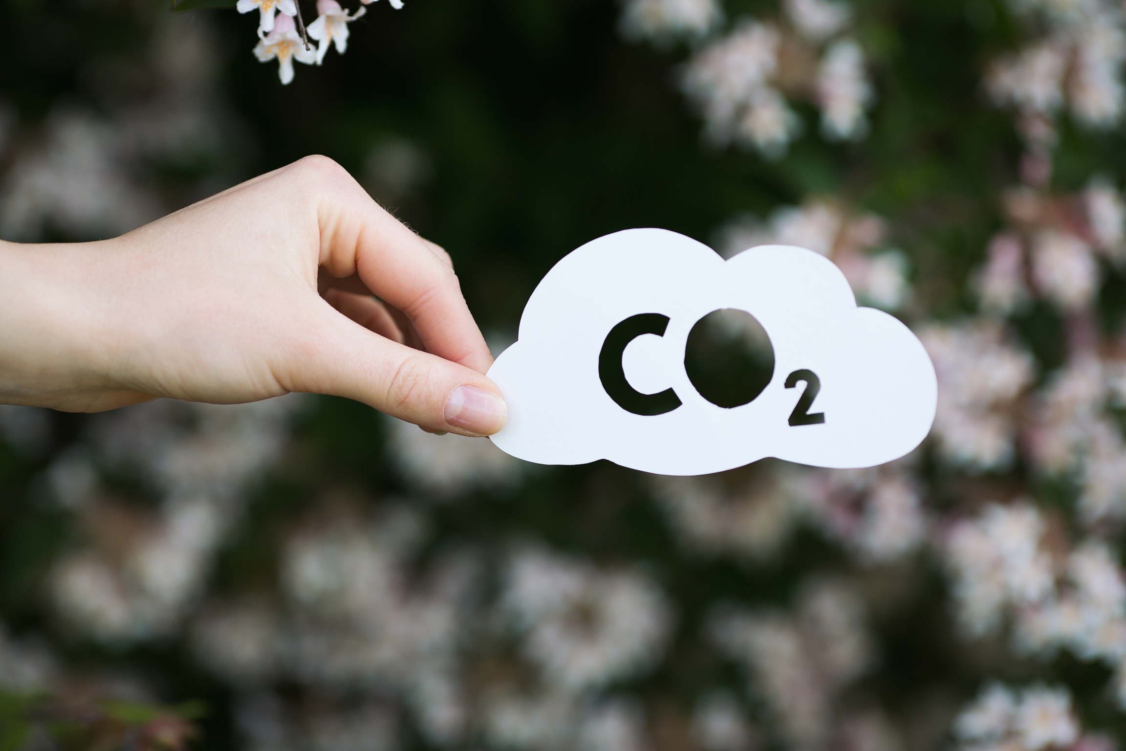 holding paper cut miniature concept of CO2 over blooming tree